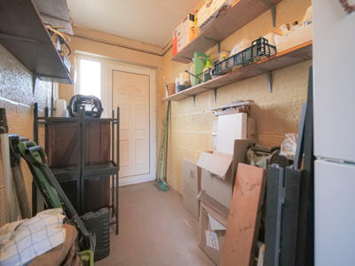 Picture 7